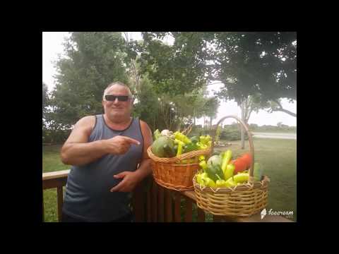 Gradinarstvo 2018 so muzika od Ivan Terziev. Strumicko oro