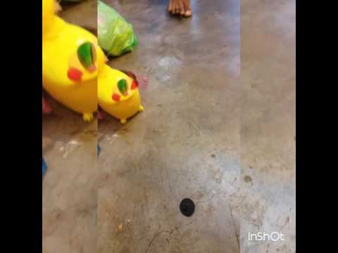 InShot 20170225 203950