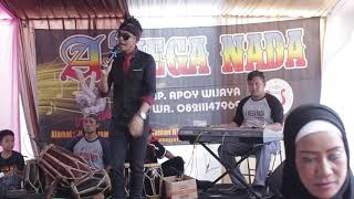 Download lagu AYA GENTOSNA#CEU TARSIH FEAT MEGA NADA mp3