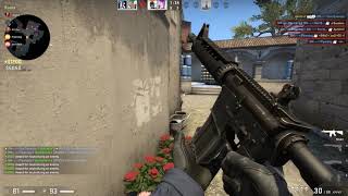 P1perdog CSGO Molly ACE!