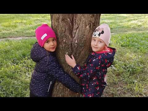 Medzinárodný deň lesov Benoškola, 20.10.2020