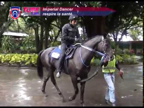 FLOREAL NEWS - RACE MEETING 09 (20.05.2017)