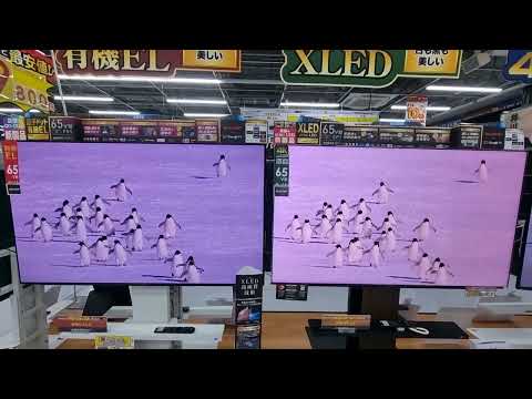 Sharp QD-OLED vs Sharp XLED