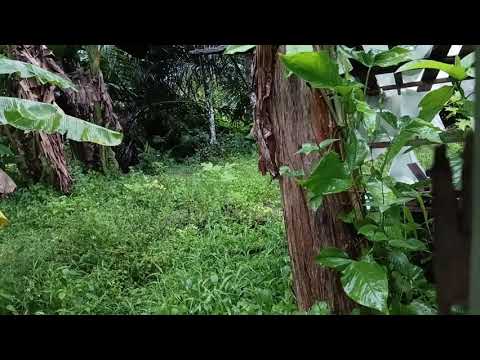 Kampung Switzerland!!!