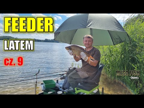 Jak łowić duże leszcze z głębokiej wody? Letni feeder.