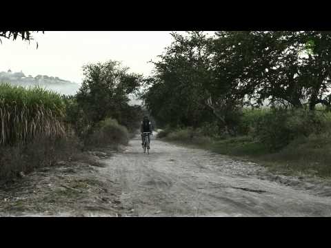 Doctv Latinoamérica - Espantapájaros - México