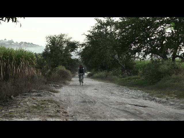 Doctv Latinoamérica - Espantapájaros - México