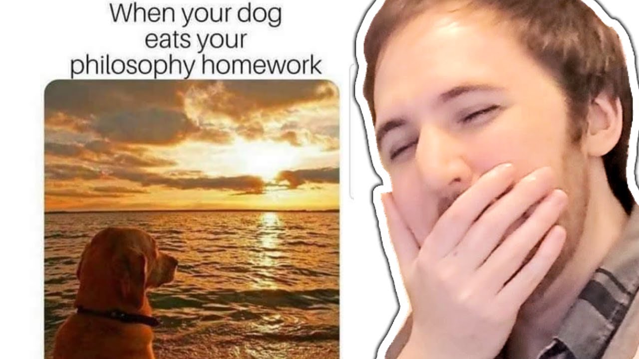 MY TRY NOT TO LAUGH CHALLENGE (Normal Memes Edition)