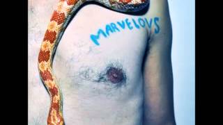 Marvelous Darlings - Terminally Ill