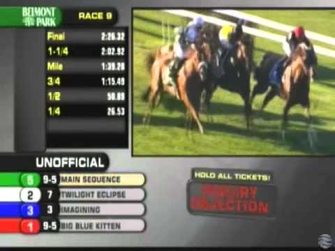 2014 Joe Hirsch Turf Classic - Main Sequence