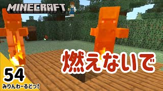 # 54 急に始まる村人ゾンビ捕獲作戦！結果は出たのか出なかったのか…？ 【マイクラ記録動画】【Minecraft】編集少なめ
