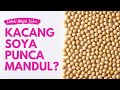Doktor Betul Ke Kacang Soya Boleh Buat Lelaki Mandul Adakah Ini Fakta Atau Mitos Semata Mata