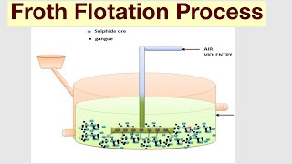 Froth Flotation Process