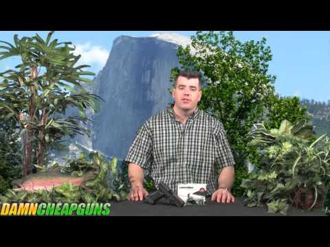 Lasermax Defense PAIL - Pistol Aiming Laser US Army Contract