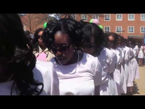 Alpha Kappa Alpha, Alpha Chapter, Howard University Spring 2013 Probate: 50 R.E.I.G.N.