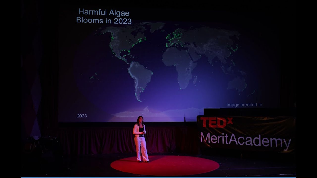 Developing Novel Algae & Compost Biofertilizer to Feed the World | Lilly Froeming | TEDxMeritAcademy