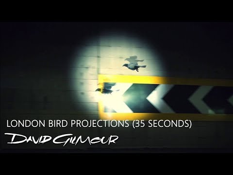 David Gilmour - London Bird Projections (35 Seconds)