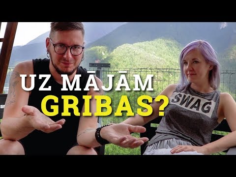 Uz mājām gribas? Pusceļa sarunas par ceļošanu ar auto un spilgtākie iespaidi