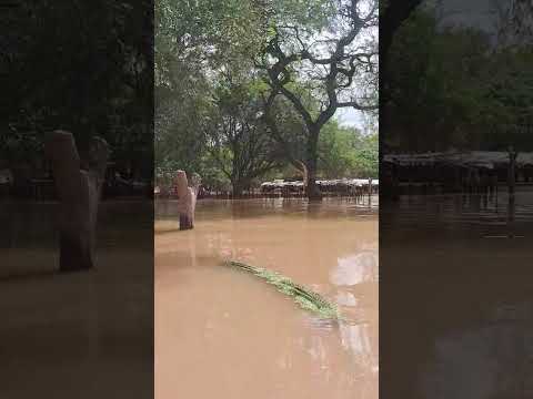 #Argentina/Inundaciones/#Salta Esto es en Rivadavia Banda Norte, Salta. Hilo. Prensa Mac/