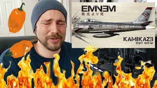 Fall - Eminem | Hot Pepper Music Review
