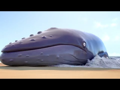 The Day The Whale Lost His Way!😦🐋| Gruffalo World: Snail & The Whale