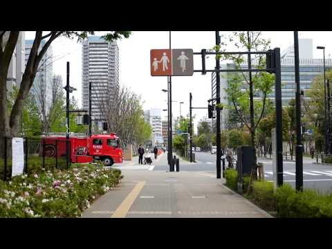 My Waseda Hangouts - Fia