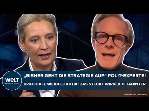 AFD: Nazi-Parolen und "schmierige Stasi-Spitzel" Weidels knallhartes Kalkül! Was dahintersteckt