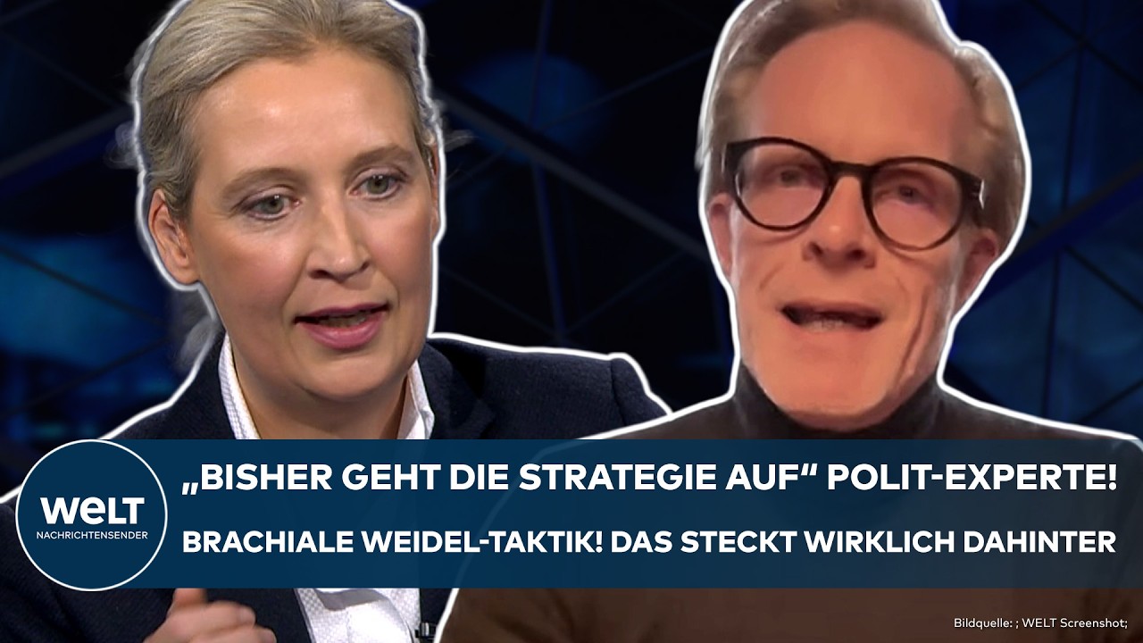 AFD: Nazi-Parolen und "schmierige Stasi-Spitzel" Weidels knallhartes Kalkül! Was dahintersteckt