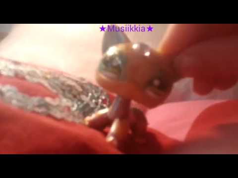 Salainen koodi osa 2 (varoitin kamua)