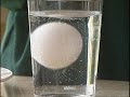 How to tell an egg is fresh - Delia's How to Cook - BBC Food How to tell an egg is fresh - Delia's How to Cook - BBC Food