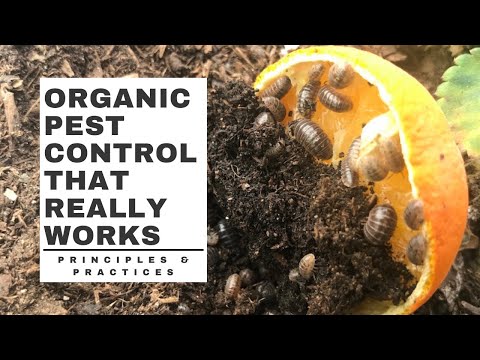 Organic PEST CONTROL that really WORKS