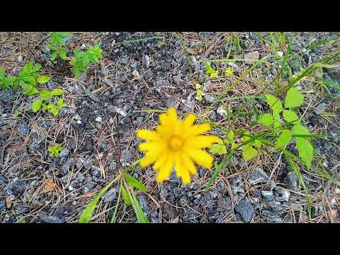 Enda en perfekt sommerdag