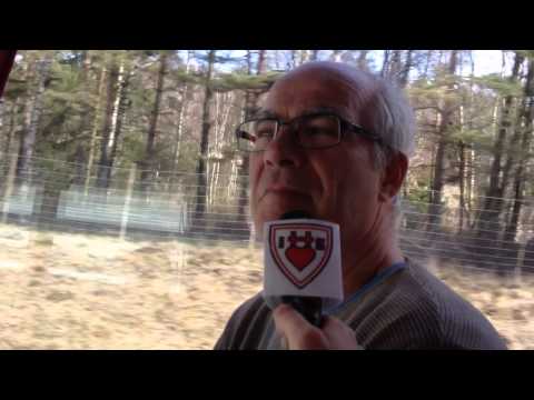 Inför Guldfemman 2015 - Hjärtums IS