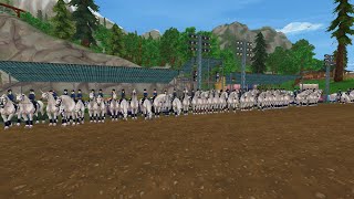 Dressur Clubtreffen ♥ Riding Riders | SSO - SERVER 12 🔴LIVE #253