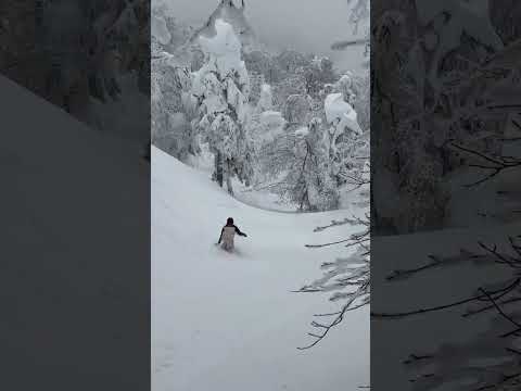 毎日パウダーの蔵王温泉スキー場#snowboarding #蔵王温泉スキー場 #スノーボード #パウダー#japow#Snowmonster#樹氷 #スプレー#spray