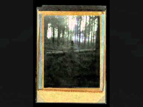 Kaleidoscope Ears Interviews Steven Wilson 3rd October 2011