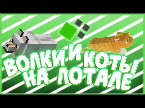 ГАЙД ДЛЯ НОВИЧКОВ | ВСЕ ВОЛКИ И КОТЫ НА ЛОТАЛЕ | ГДЕ ФАРМИТЬ ОПЫТ | CRISTALIX JEDICRAFT