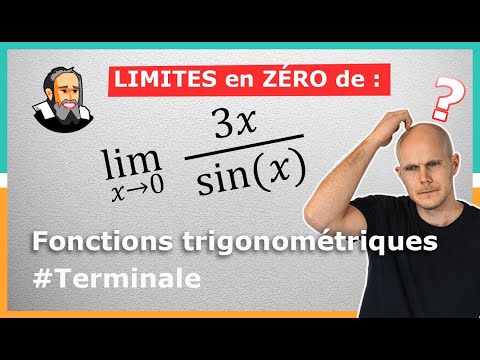 LIMITES des Fonctions TRIGO en 0 - Exercice Corrigé - Terminale