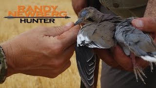 Randy Newberg, Hunting - Dove hunting episode in Yuma, Arizona