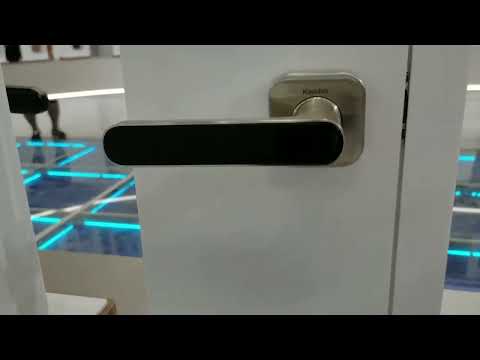  Kaadas LH01