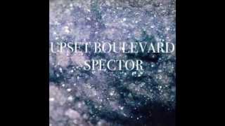 UPSET BOULEVARD // SPECTOR