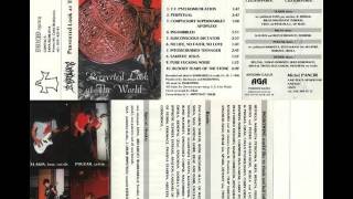 INGROWING (czech rep.) ´´perverted look at the world´´ demo 1996