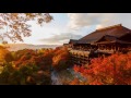 3 HOURS Japanese Relaxation Music for Stress Relief and Healing