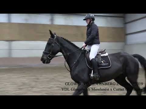 Glowee Van De Molenberg Z