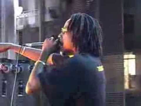 WTP, Daltone krew ,NEP