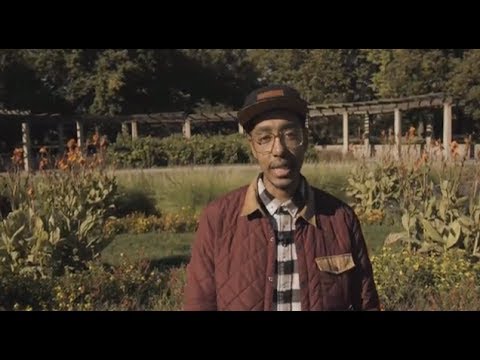 ODDISEE - OWN APPEAL (Official Video)