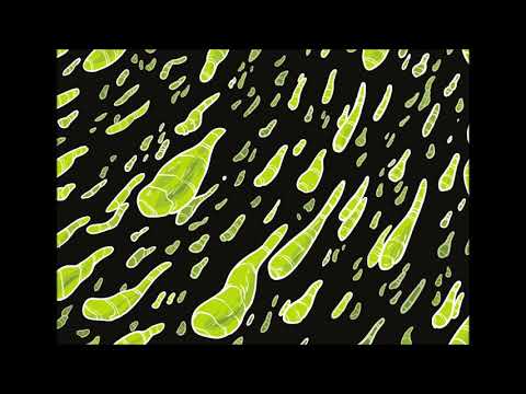 Razbibriga - Battleground [STG024]