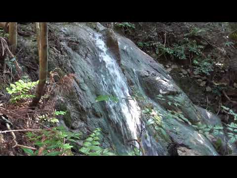 中津川のトゥファ Nakatsugawa Tufa (四国西予ジオパーク)