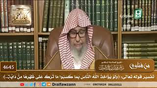 [4645] تفسير قوله تعالى: ﴿ولو يؤاخذ الله الناس بما كسبوا ما ترك على ظهرها من دابة..﴾ - صالح الفوزان