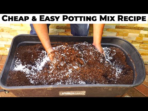 download lagu mp3 mp4 Potting Mix, download lagu Potting Mix gratis, unduh video klip Potting Mix